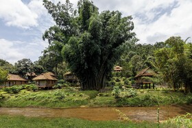 Sterling Vythiri Wayanad