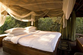 Taj Baghvan at Pench National Park