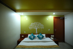 Pleasure Inn by OYO Rooms