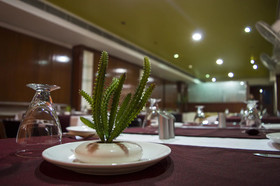 Pleasure Inn by OYO Rooms