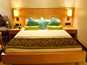 Hotel Balwas International