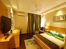 Hotel Balwas International