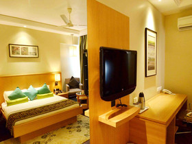 Hotel Balwas International