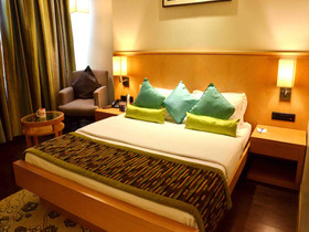 Hotel Balwas International