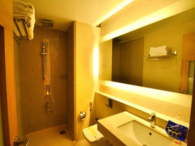 Hotel Balwas International