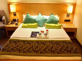 Hotel Balwas International