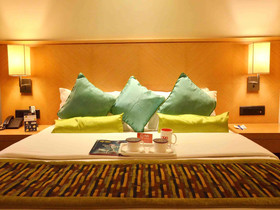 Hotel Balwas International