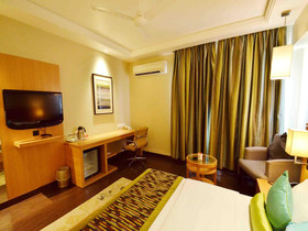 Hotel Balwas International