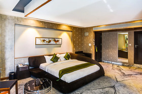 Hotel Sapphire Star Inn by Treebo
