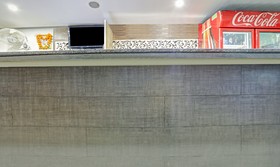 Treebo Trend Holiday