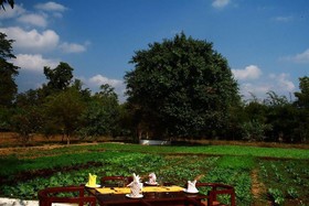 Chitvan Jungle Lodge