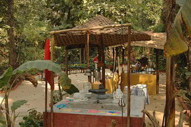 Kanha Jungle Lodge