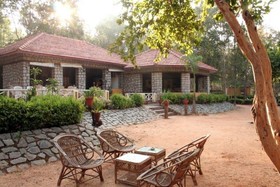 Wild Chalet Resort