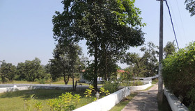Windsor Tiger Resort