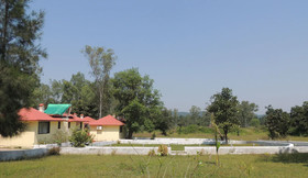 Windsor Tiger Resort