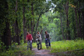 Aranyak Resort Kanha