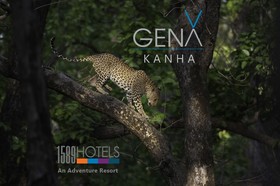GenX Kanha