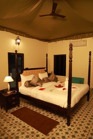 The Pench International