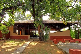Monsoon Forest