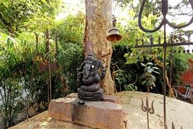 Monsoon Forest