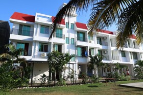 The Bliss palm