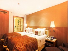 Hotel Bawa International