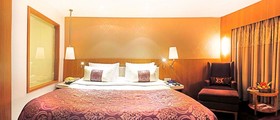 Hotel Bawa International