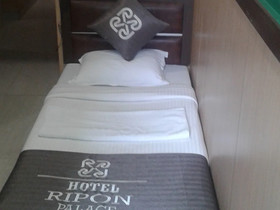 Hotel Ripon Palace
