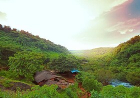 Blue Green Exotica Camping