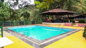 Blue Green Exotica Camping