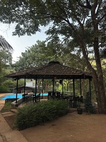 Blue Green Exotica Camping
