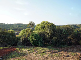 Venna View by OYO Rooms