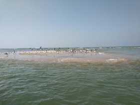 Blossom Beach Resort