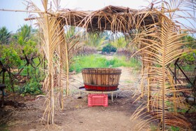 Regenta Resort, Soma Vine Village, Nashik