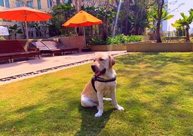 Hyatt Pune