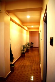 Lily Guest House
