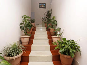 White Orchid Guest House