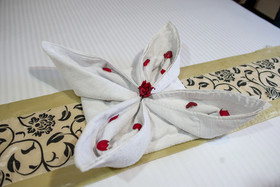 Hotel Polo Orchid Tura