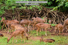 Arati Homes by OYO Rooms