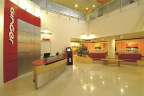 Ginger Bhubaneshwar