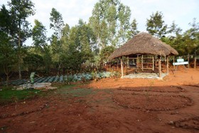Desia Eco Tourism Camp