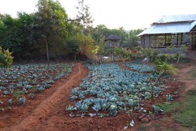 Desia Eco Tourism Camp