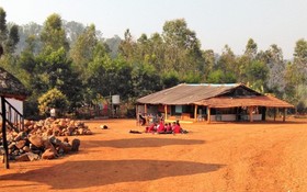 Desia Eco Tourism Camp