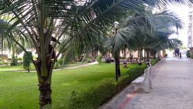 Janardan Homestay Puri