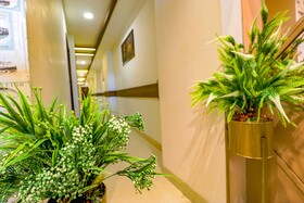 Hotel California Heights By FabHotels
