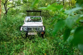 amã Stays & Trails Forest Hills - Acacia Villa, Chandigarh
