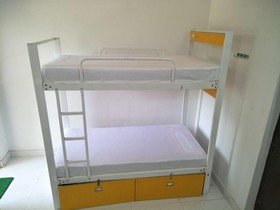 Backpacker Panda Chand Palace