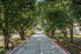 Justa Alwarbagh Resort & Convention Centre