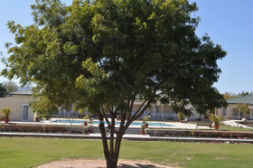 Sariska Manor
