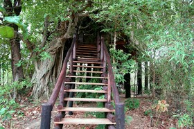 Pugdundee Safaris Tree House Hideaway